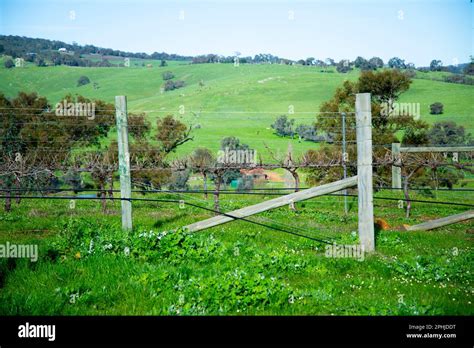 Ferguson Valley - Western Australia Stock Photo - Alamy