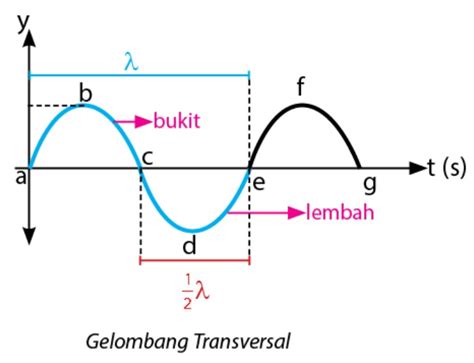 Contoh Soal Tentang Gelombang Mekanik Kuy Belajar