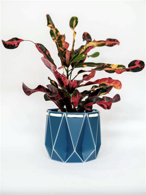 13 best indoor plant pots to suit every kind of interior style