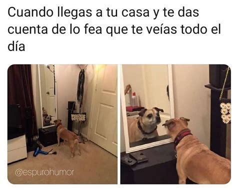 Cuando Llegas A Tu Casa Y Te Das Cuenta De Lo Fea Que Te Ve As Todo El