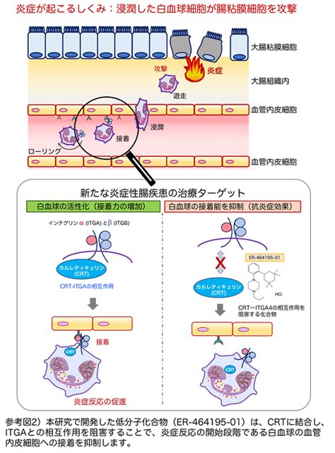 炎症性腸疾患の治療に有用な新規抗炎症メカニズムを解明 ニュースリリース2018年 エーザイ株式会社