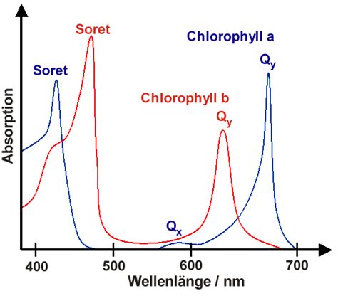 Chlorophylle Anthrowiki