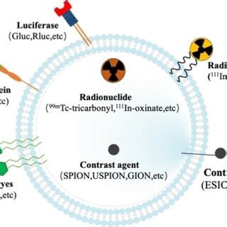 Various molecular imaging techniques to label extracellular vesicles ... 