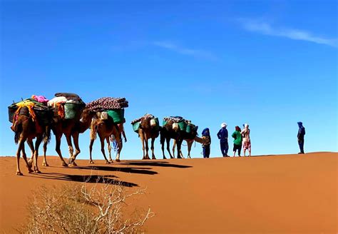 The Best Things to Do in Zagora, Morocco | Book Now