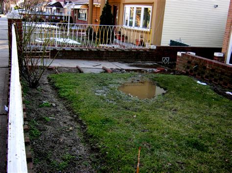 Yard Drainage: Common Problems, Solutions, and Advice