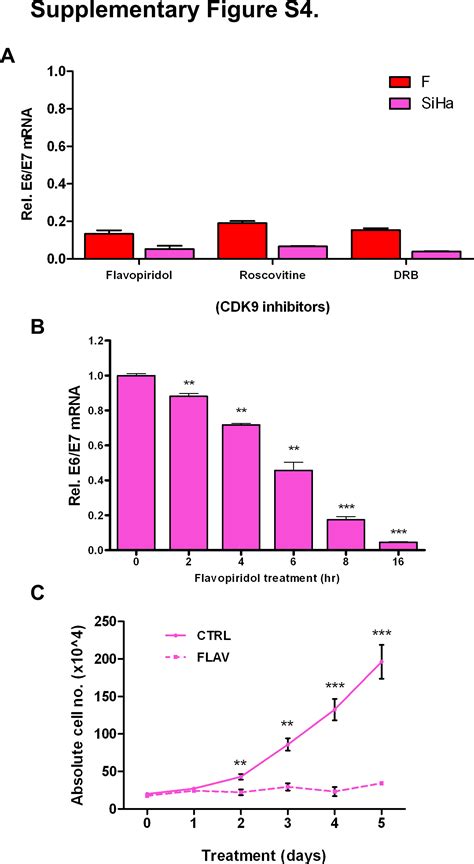 Hpv16 Oncogene Expression Levels During Early Cervical Carcinogenesis