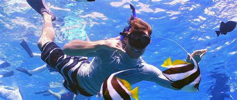 Cabo Pulmo Snorkeling | Tours Cabo