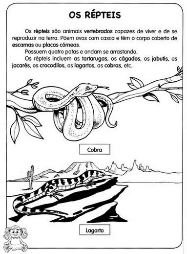 Animais RÉpteis Atividades ExercÍcios Desenhos Colorir Imprimir Ii Portal Escola