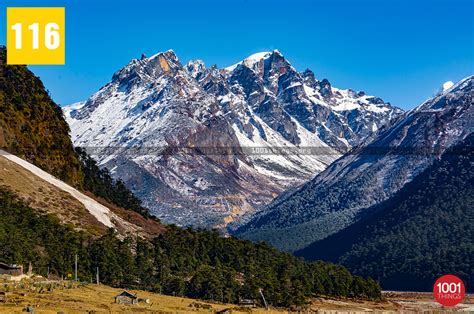 Yumthang Valley of Flowers - Best Time To Visit in 2022