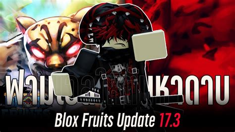 🔴[ep14] [🐯🍩update] Blox Fruits Update 17 3 ฟามเวล หาของทุกอย่างในเกม