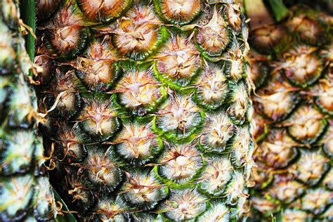 Ananas Bienfaits Et Vertus Nature Az