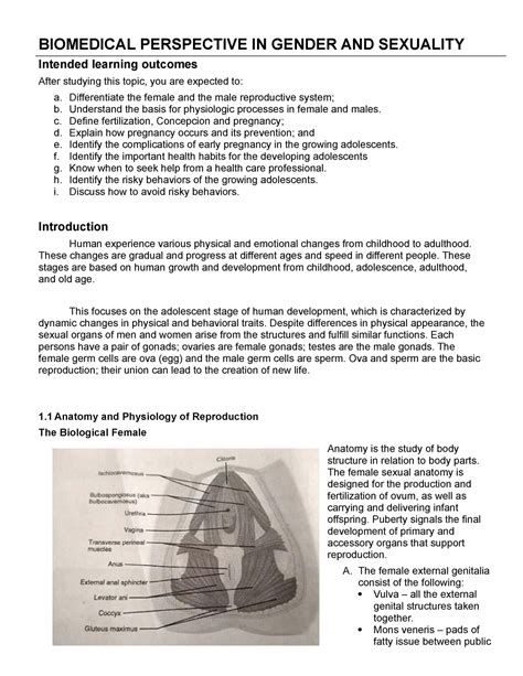 Biomedical Perspecive In Gender And Sexuality Biomedical Perspective In Gender And Sexuality