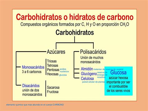 SOLUTION 1 Carbohidratos Y Lipidos Studypool