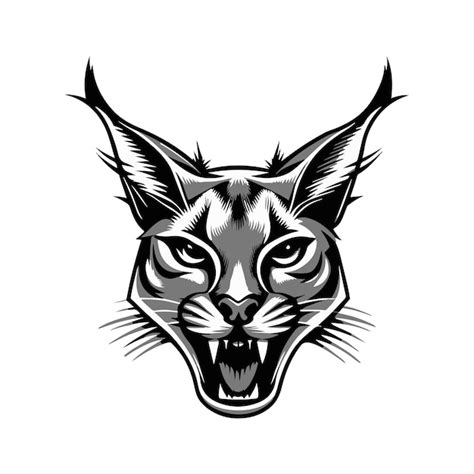 Premium Vector Caracal Vector Art