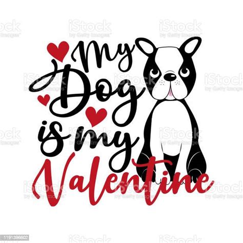 My Dog Is My Valentine Text With Cute Boston Terrier Stock Illustration