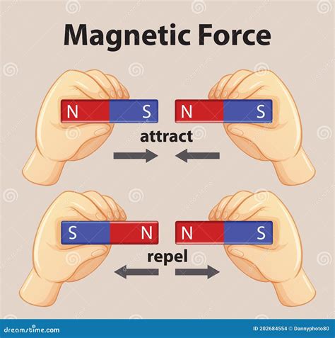 Magnetic Force Infographic Diagram With Example Cartoon Vector ...