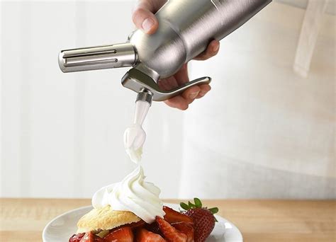 5 Best Whipped Cream Dispensers In 2024 Skingroom