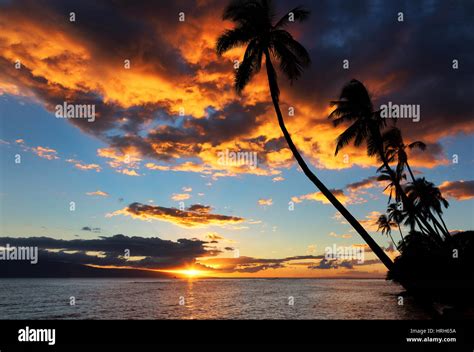 Palm Trees and Sunset, Kauai, Hawaii Stock Photo - Alamy