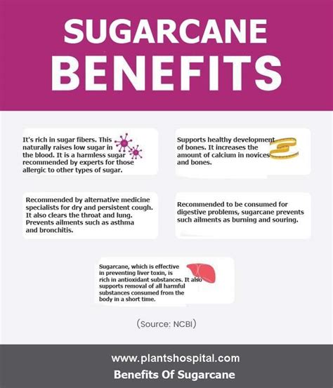 Sugarcane: Health Benefits, Uses, Side Effects And Recommendation