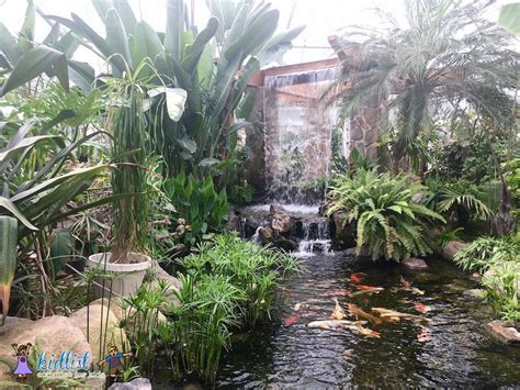 12 Best Things To Do In Joliet, Illinois - The Ultimate Local's Guide