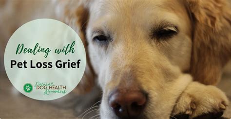 Pet Loss Grief - How to Deal With Loss of Your Pet