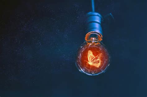 toutes les innovations manageriales ne se valent pas management