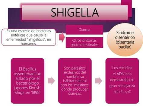 Shigella Ppt