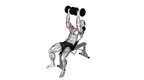 Dumbbell Incline Twisted Fly Ultimate Exercise Guide Tips