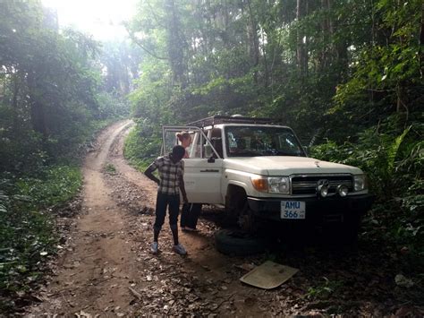 Climbing Mount Bintumani: Raw Adventure on Sierra Leone's Highest