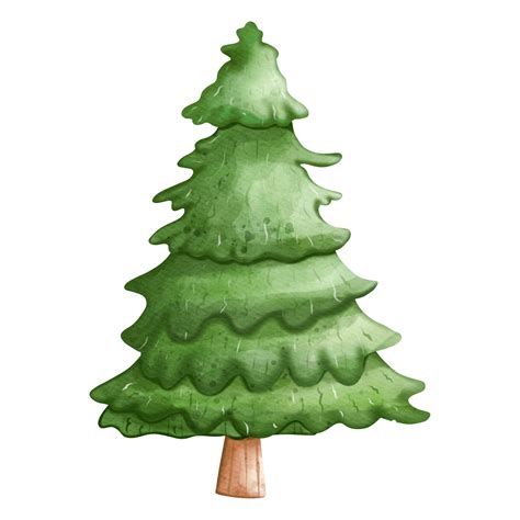 Christmas Tree Clipart Watercolor Illustration 12486291 PNG