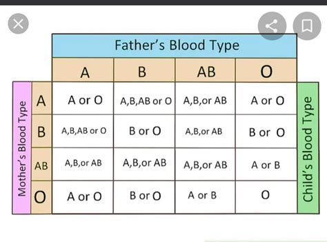child blood type calculator artofit