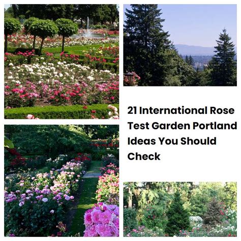 21 International Rose Test Garden Portland Ideas You Should Check