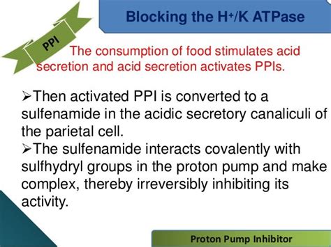 slsi.lk - how long for sulfatrim to work | Speaking, mechanism action ...