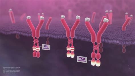 Mechanism of action explainer video - Lampyon Health Communications