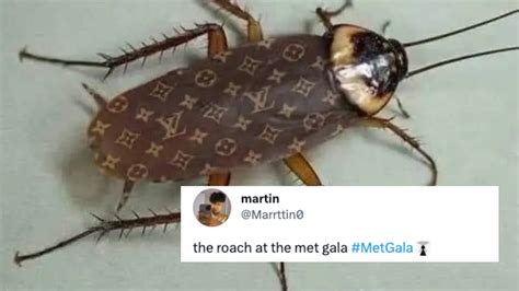 All The Best Memes and Reactions To Met Gala 2023