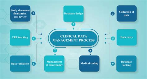 Clinical Data Management Process Overview Worksure