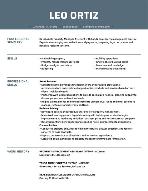 Professional Real Estate Resume Examples