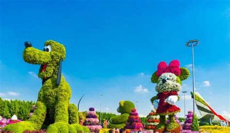 Best Disney World Parks by Age Group | ParkVeteran