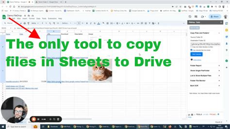 Copy Files Organized in Google Sheets to Any Google Drive Folder - FileDrop