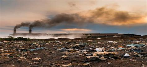 ¿cuáles Son Los Principales Contaminantes De Los Suelos Sgk Planet