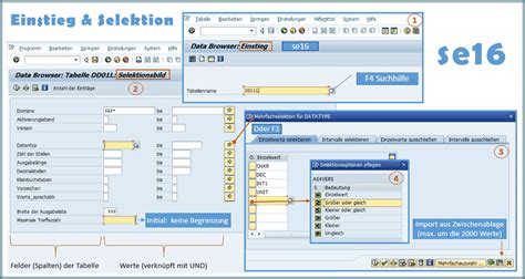 Se Data Browser