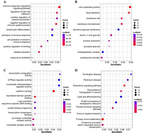 Gene Ontology Go And Kyoto Encyclopedia Of Genes And Genomes Kegg