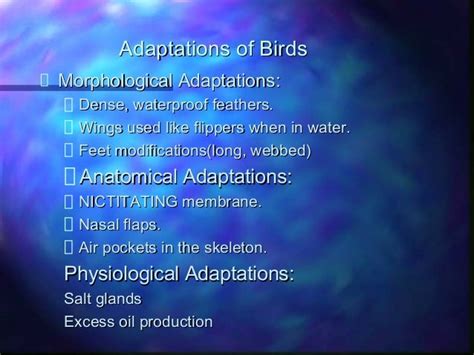 Aquatic adaptations in birds and mammals