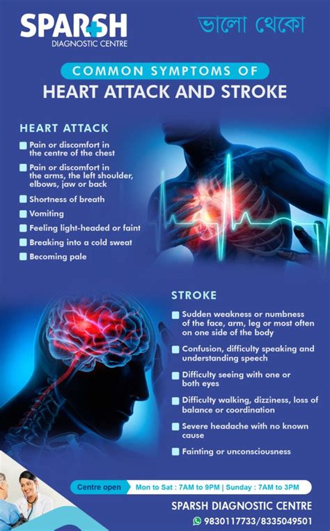 Difference between a Heart Attack and Stroke - Sparsh Diagnostic Center