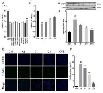 A Combination Of Curcumin Vorinostat And Silibinin Reverses A Induced