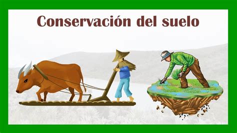 Conservación del suelo técnicas y prácticas YouTube