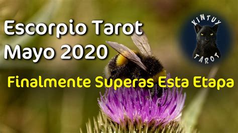 ♏ Escorpio Tarot Mayo 2020 Finalmente Superas Esta Etapa Gratis Youtube