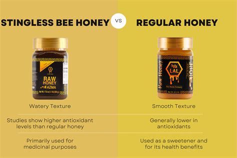 Stingless Bee Honey Benefits: Superior Health Properties