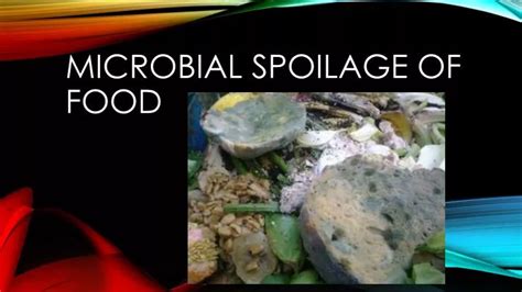 Ppt Microbial Spoilage Of Food Powerpoint Presentation Free Download