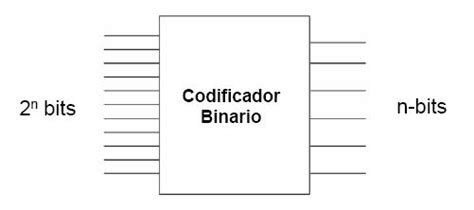 Los Codificadores Y Decodificadores Binarios At Emaze Presentation